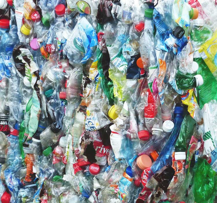 Celebrem el dia mundial del reciclatge