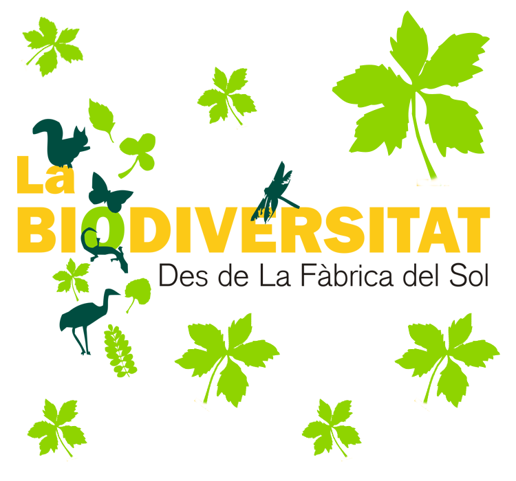Exploradors de biodiversitat per un dia