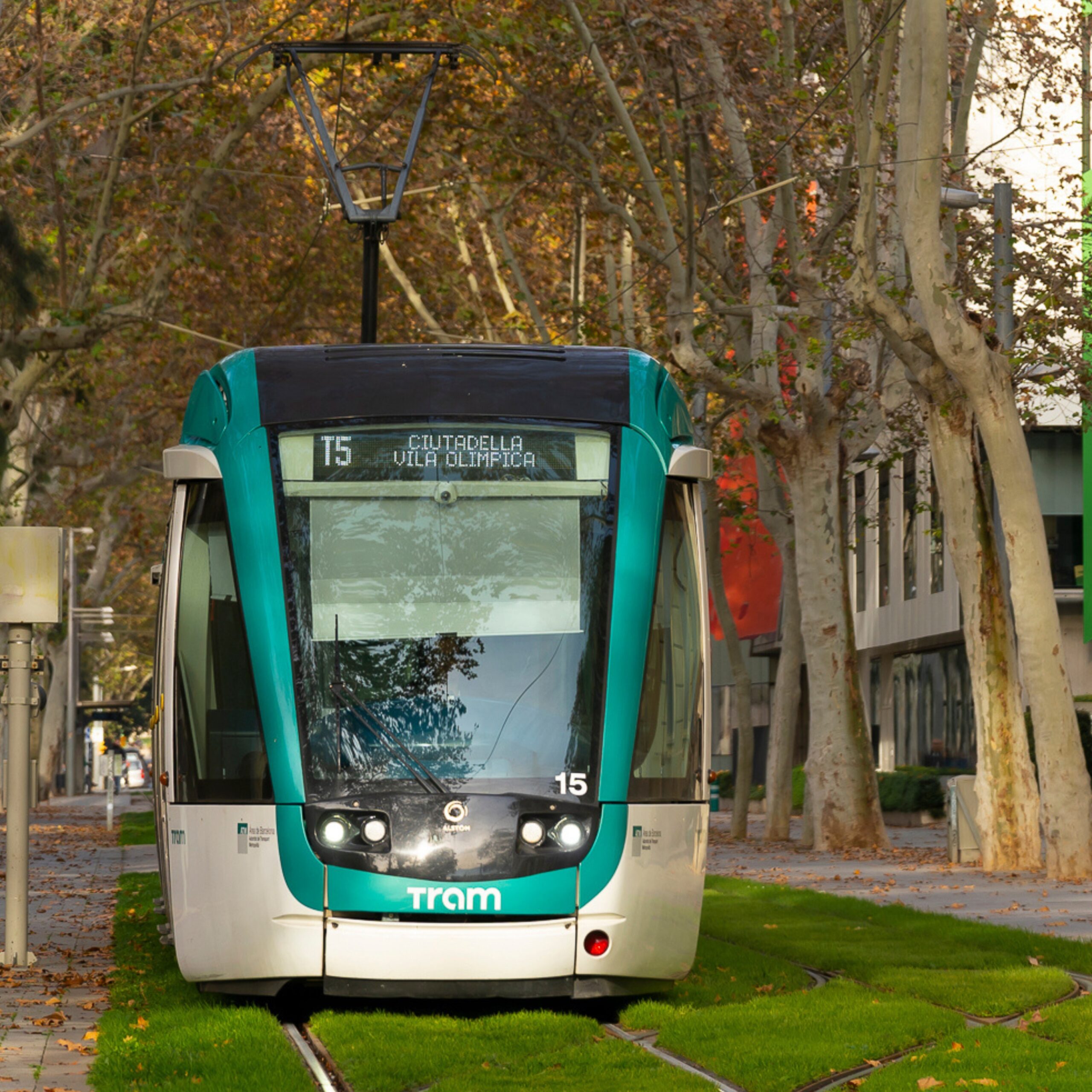 El tramvia, aliat de les ciutats sostenibles en el Dia Mundial del Medi Ambient