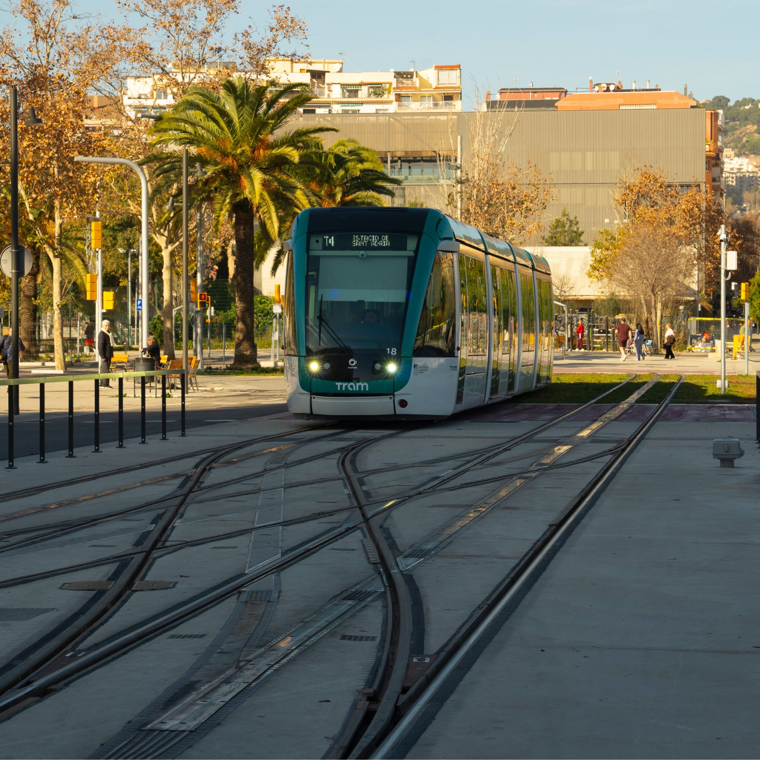 T’ajudem a combatre la calor: espais ombrejats a prop del tramvia