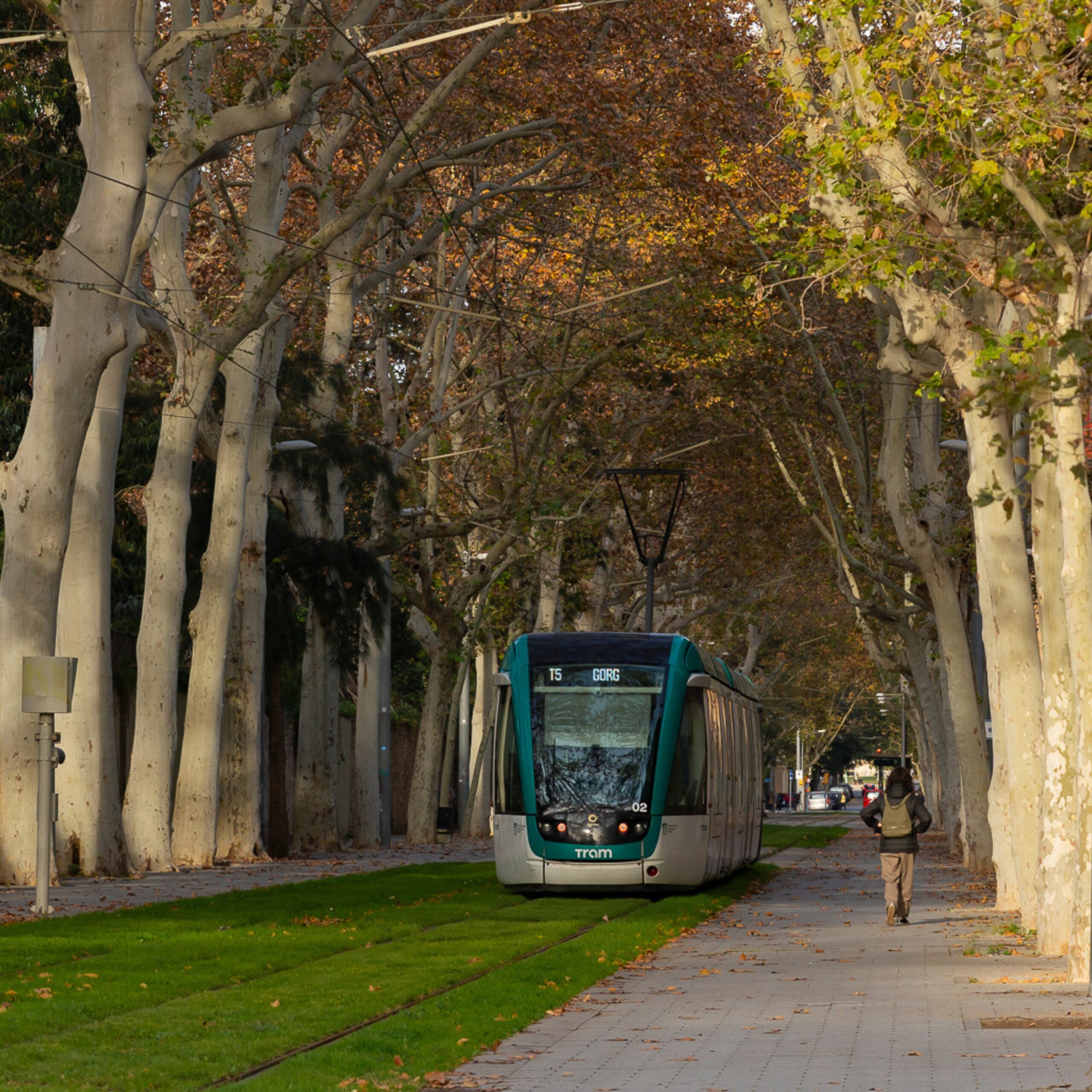 Plans i propostes per donar la benvinguda a la tardor 
