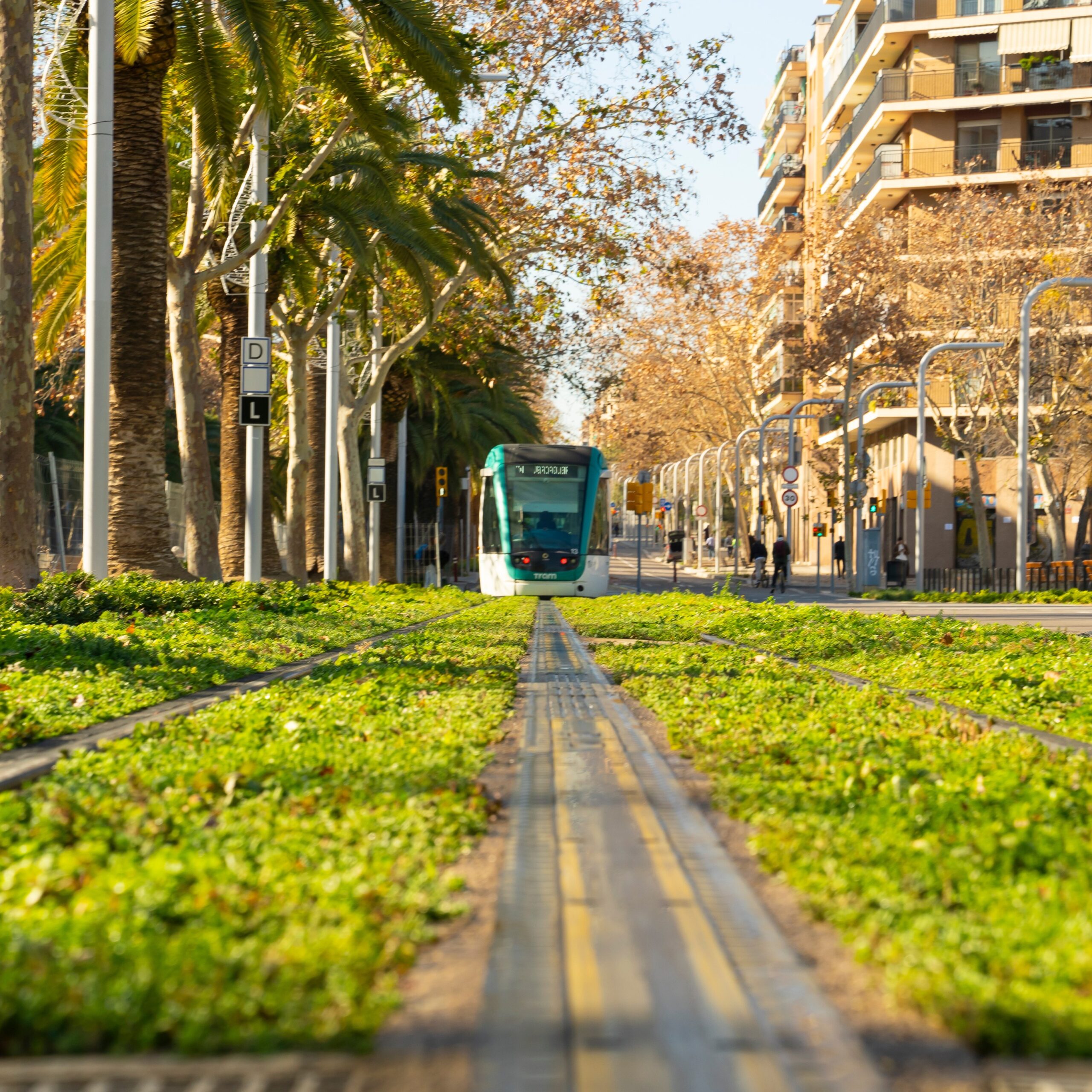 Quatre rutes verdes per fer en bici 