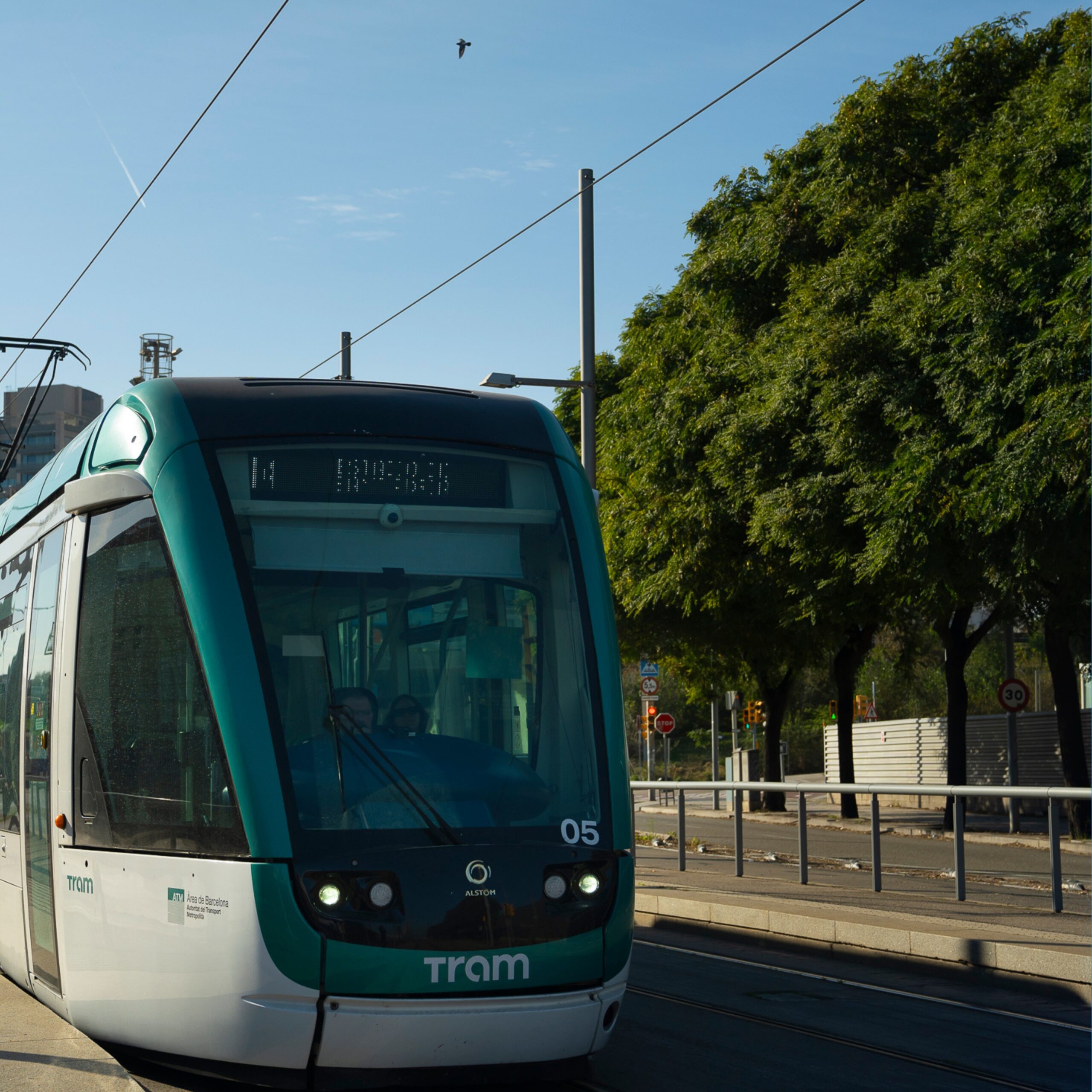 Parcs urbans: quatre propostes per activar cos i ment sense sortir de la ciutat