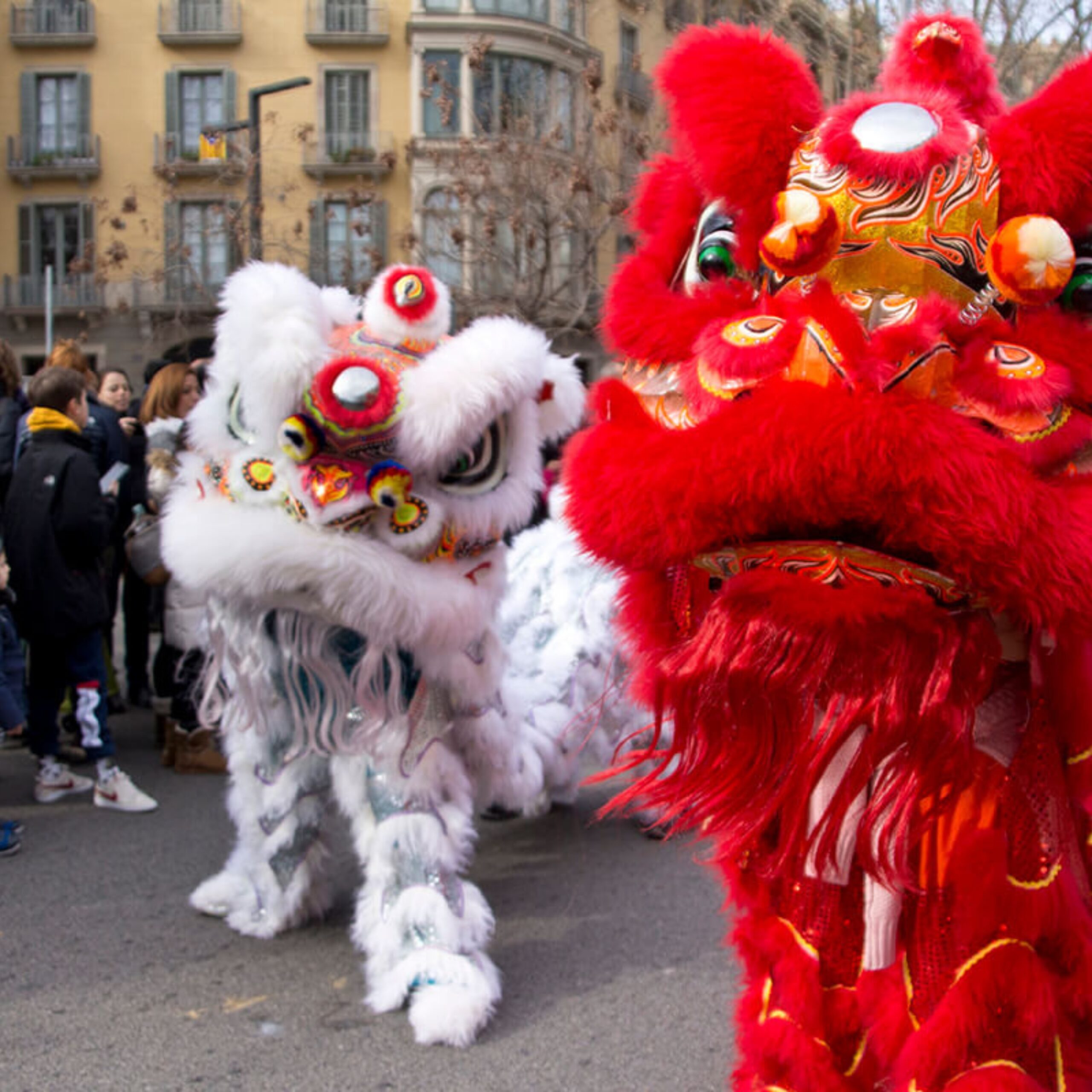Barcelona dona la benvinguda a l’Any Nou Xinès: festa, colors i cultura al cor de la ciutat