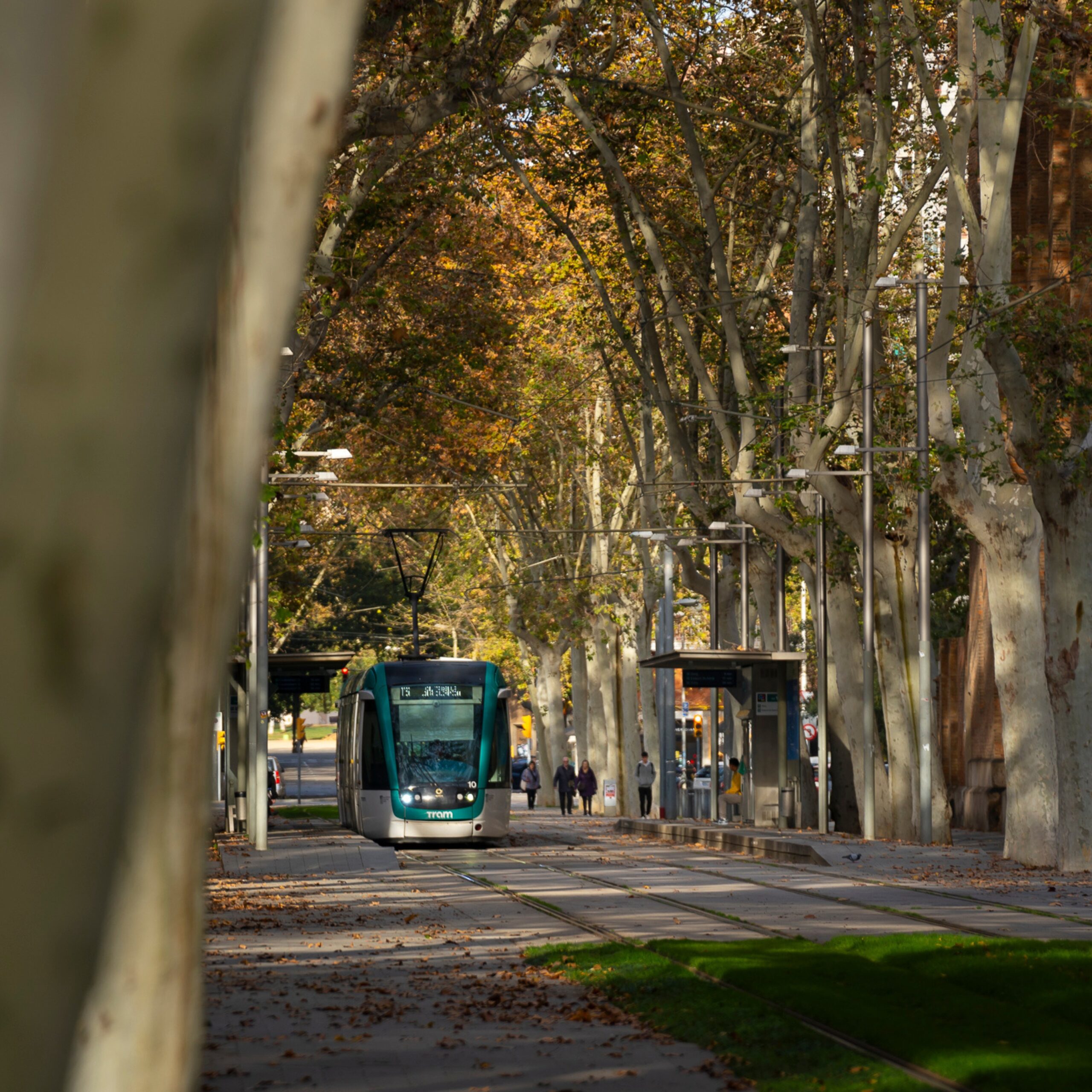 Dia Mundial de l’Eficiència Energètica. TRAM, moure’s amb energia intel·ligent, viatjar amb menys impacte