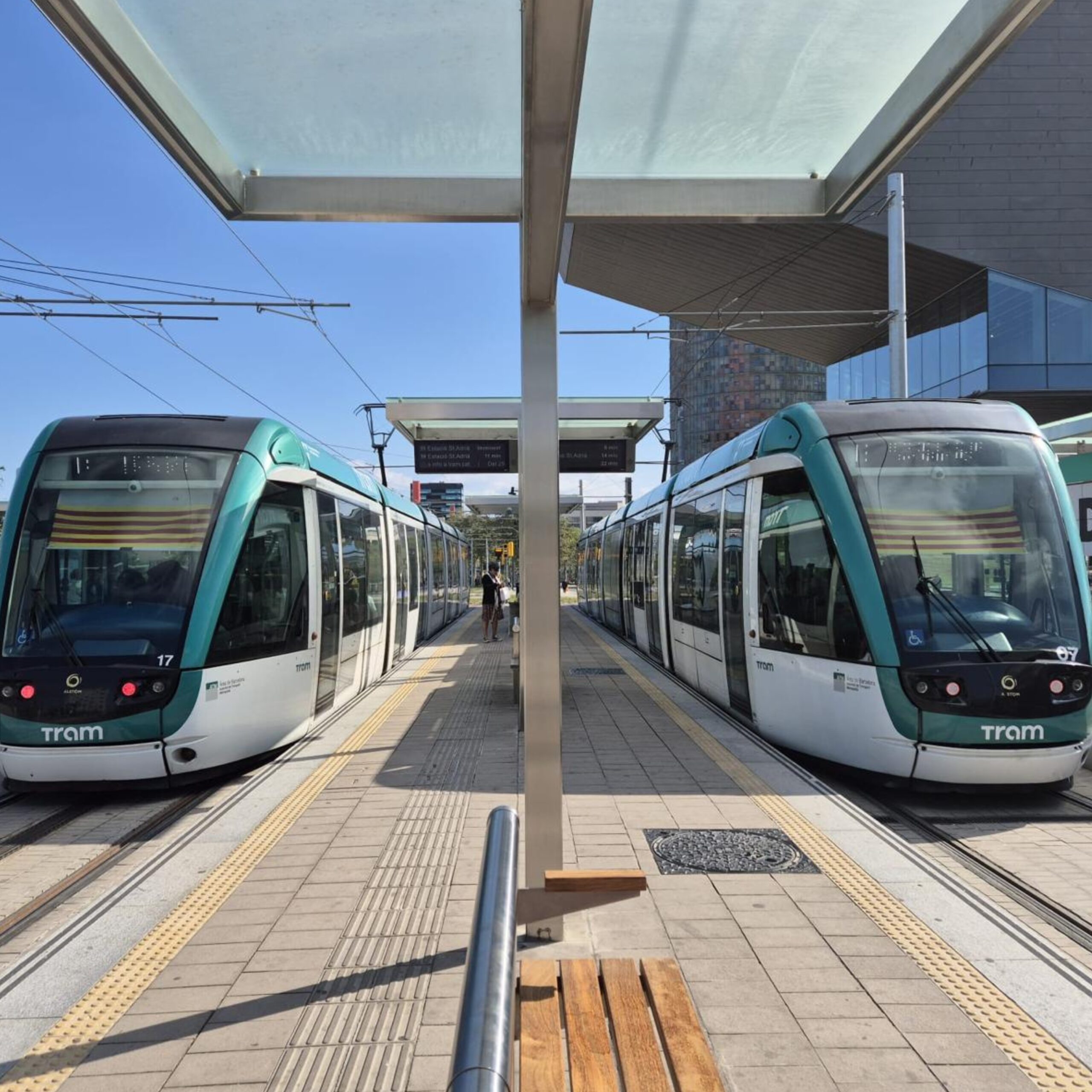 Sant Jordi: activitats i lectures imprescindibles