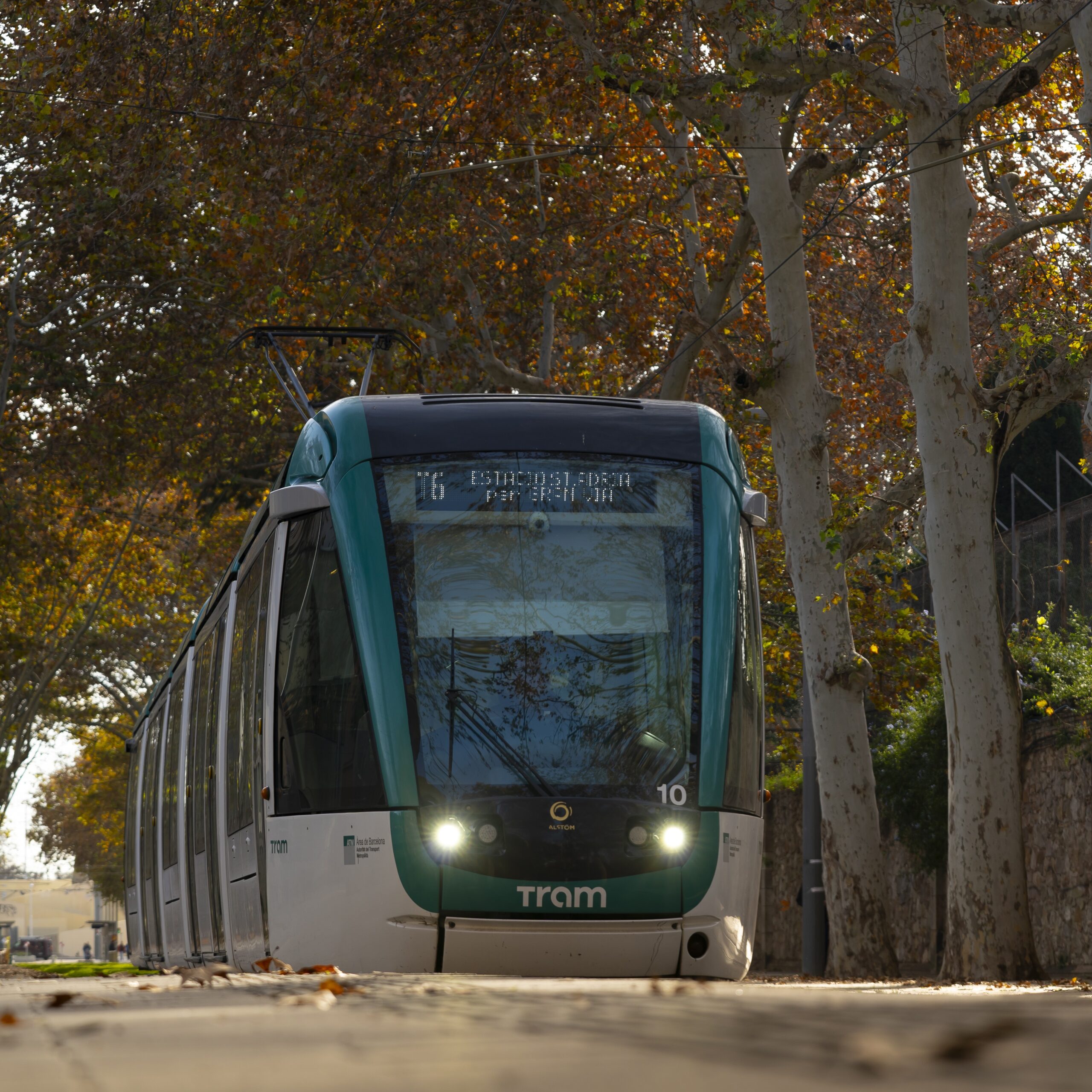 Connecta amb la natura; excursions i passejades que pots començar des del TRAM